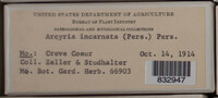 Image Associated With the Occurence